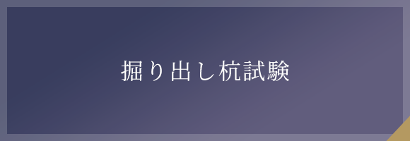 掘り出し杭試験